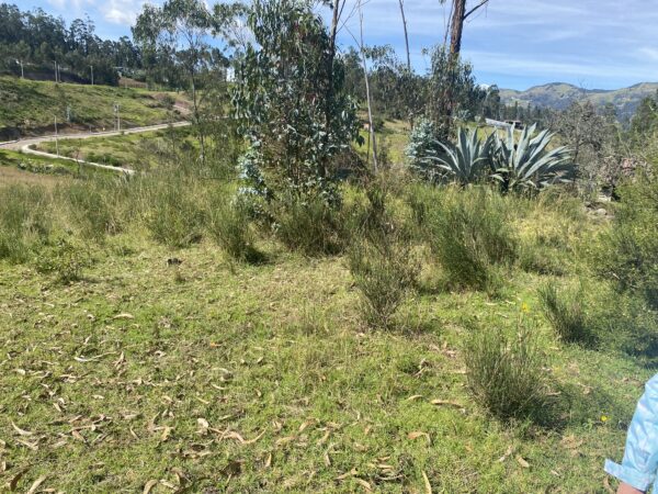 Terreno en Cojitambo 3.300 m
