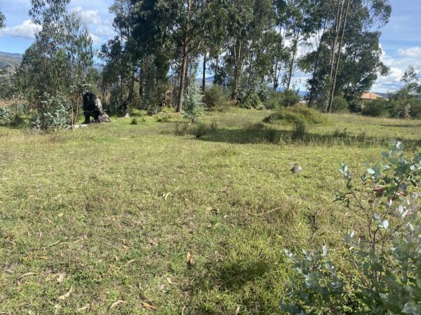 Terreno en Cojitambo