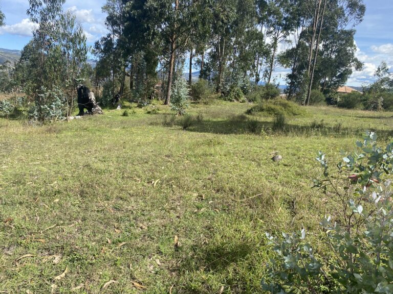 Terreno en Cojitambo