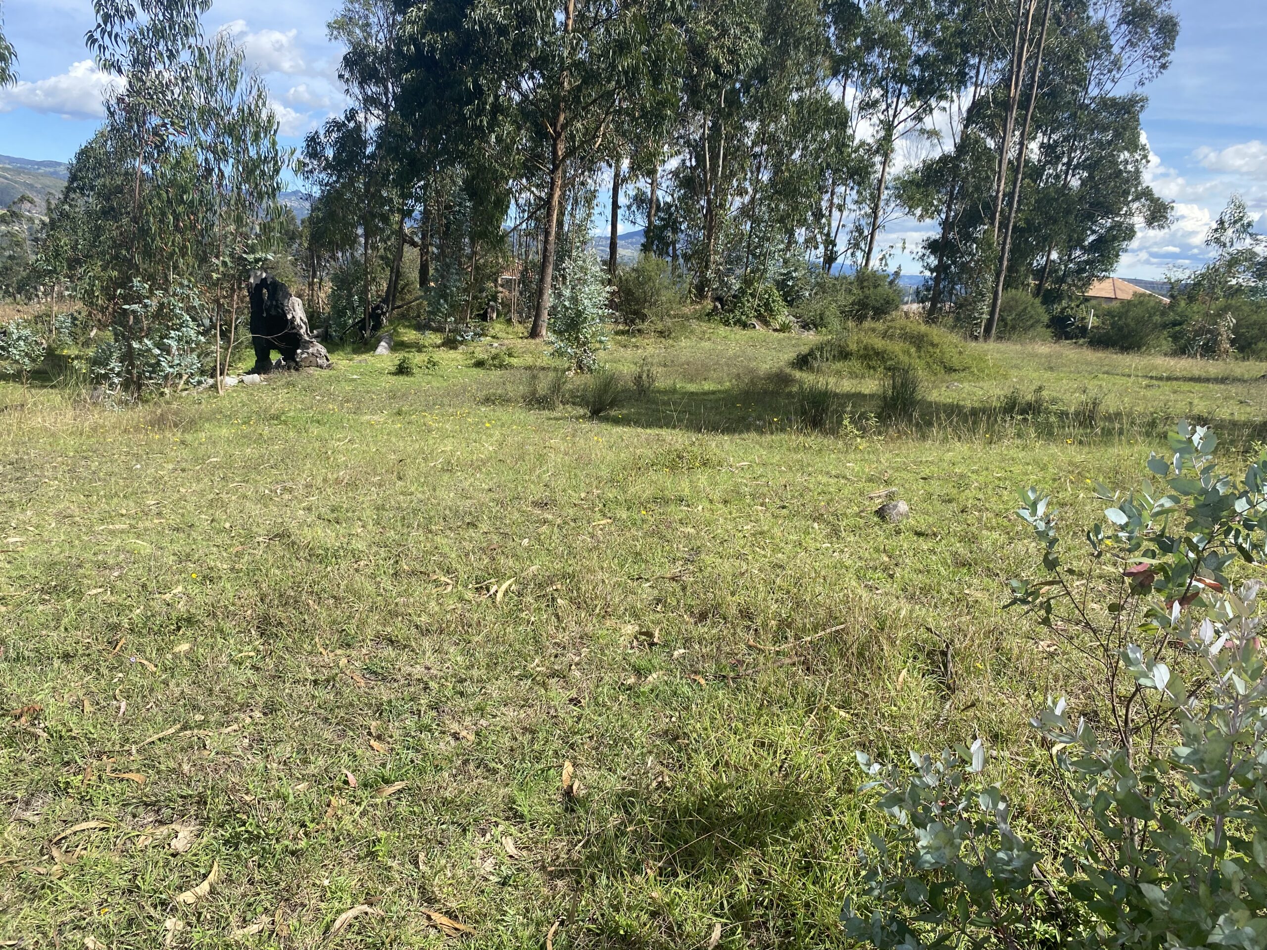 En Venta Terreno en Azogues Cojitambo