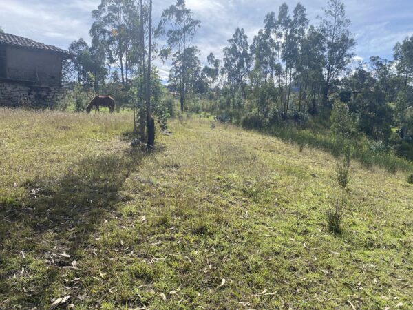 Terreno en Cojitambo