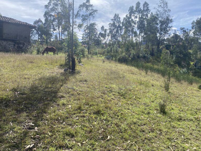 Terreno en Cojitambo