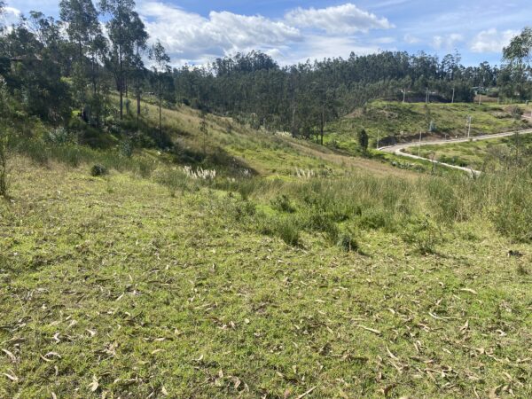Terreno en Cojitambo