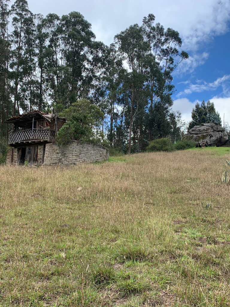 TERRENO PAMPAVINTIMILLA