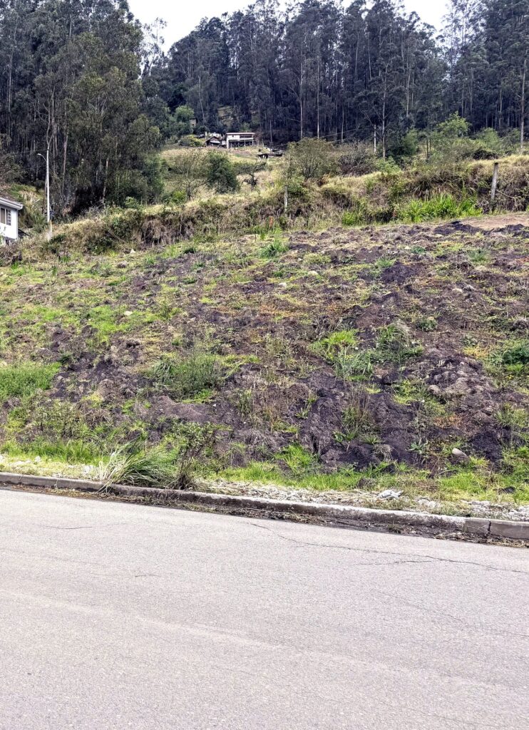 Terreno en Nazón, Biblián - detalle del terreno